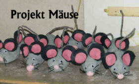 Projekt Mäuse