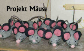 Projekt M&auml;use
